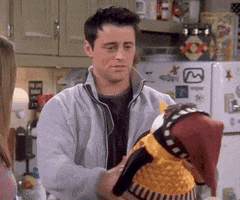 Season 9 Joey GIF by Friends