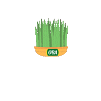 Novruz Sticker by OBA Marketler