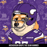 Minnesota Vikings Football GIF by Doge Pound