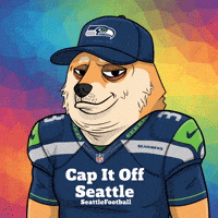 Shiba Inu Football GIF by Doge Pound