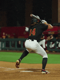 Fight On Home Run GIF