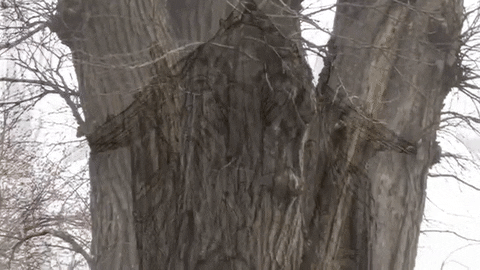 animation studio GIF by Alex Boya