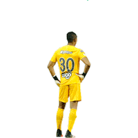 Futbol Esperar Sticker by Club Atlético Nacional