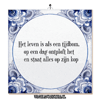 Humor Chaos Sticker by Tegelspreuken.nl