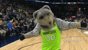 Lets Go Mascot GIF by NBA