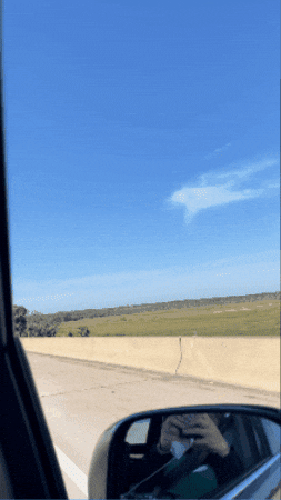 kellytraceygagnon giphygifmaker GIF