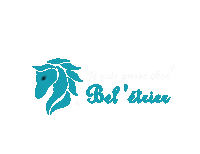 Beletrier beletrier Sticker