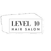 Logo Salon Sticker by Level10hairsalon