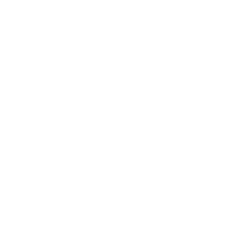 Ninjastormfr nss ninjastormfr nslogo Sticker