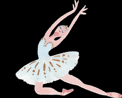 Swan Lake Ballet GIF