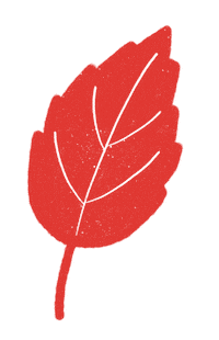 Fall Autumn Sticker by Daniela Nachtigall