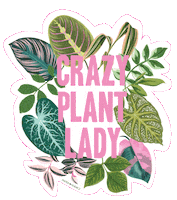 Spring Lady Sticker by Paper Source