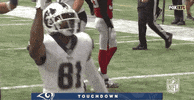 Regular Season Football GIF by NFL