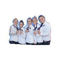 Fgi Sticker by Federazione Ginnastica d'Italia