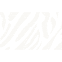 CCOLaRayonne beige ete zebrure ccovilleurbanne Sticker