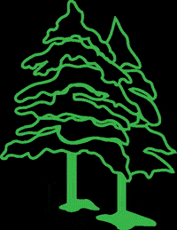Peterman_Lumber green yellow orange tree GIF
