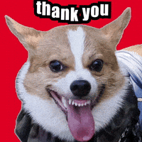 GAJUMARU0901 thank you コギ ガジュマル GIF