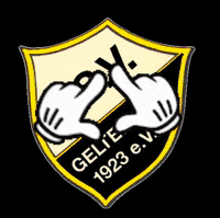 TSVGeltendorf geltendorf tsv geltendorf GIF