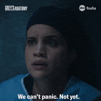 Greys Anatomy Doctor GIF by ABC Network