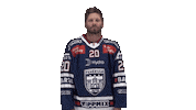 Celebration Goal Sticker by Fehervar AV19
