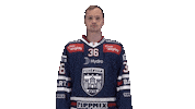 Celebration Goal Sticker by Fehervar AV19