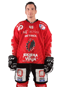 Hockey Steelers Sticker by HDD SIJ Acroni Jesenice