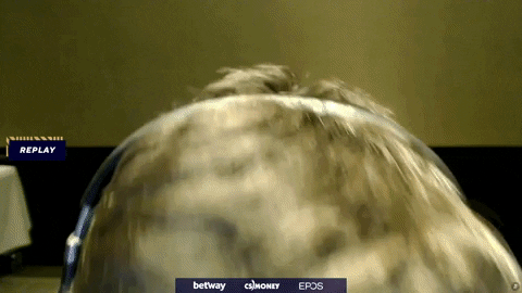 GIF by BLAST