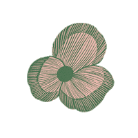 Flowers Pansy Sticker by CALLA