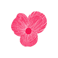 Flower Sticker by CALLA