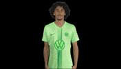 France Hello GIF by VfL Wolfsburg