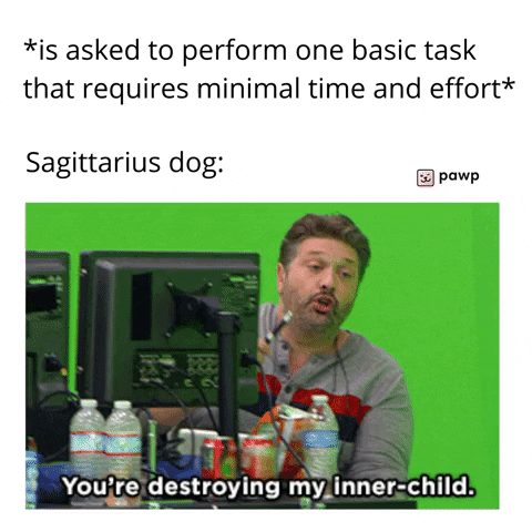 mypawp giphyupload GIF