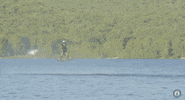 world record news GIF