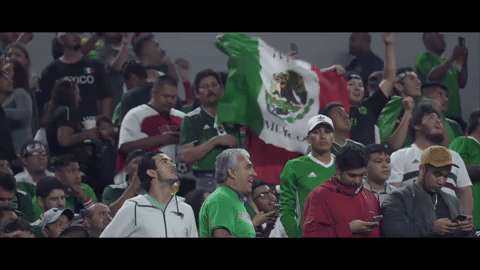 bandera apoyo GIF by MiSelecciónMX