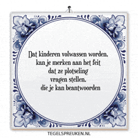 Nl Wijsheid GIF by Tegelspreuken.nl