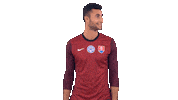 Celebration Goalkeeper Sticker by Slovensky futbalovy zvaz