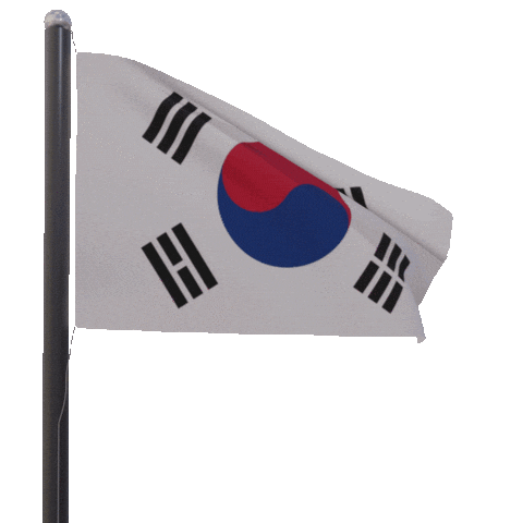 Waving South Korea Sticker by tracheotommy