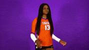 Clemsonvb Championshipbehavior GIF by Clemson Tigers