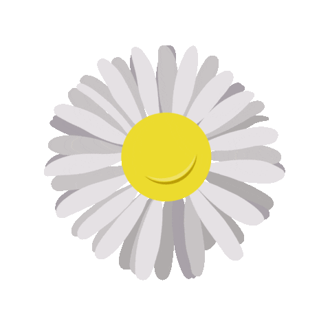 Summer Flower Sticker