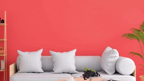 alinepereirae0d3 giphyupload GIF