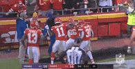 Regular Season Football GIF by NFL
