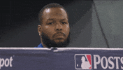 Blue Jays Baseball GIF by Toronto Blue Jays