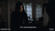 You Got This Tv Show GIF by CW Kung Fu