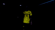 GIF by Michigan Athletics
