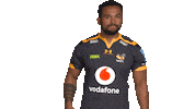 Rugby Sticker by Wasps