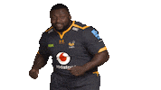Rugby Sticker by Wasps