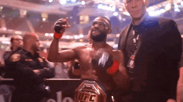 Aljamain Sterling Sport GIF by UFC
