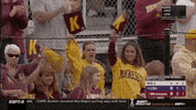 minnesota softball GIF by NCAA Championships