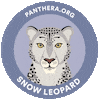 Snow Leopard Sticker by Pantheracats