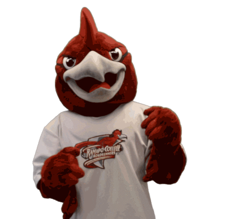 Roadrunner Happy Dance Sticker by Ramapo College of New Jersey