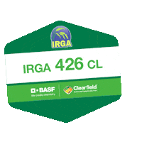 Arroz Sticker by BASF Soluções para a Agricultura